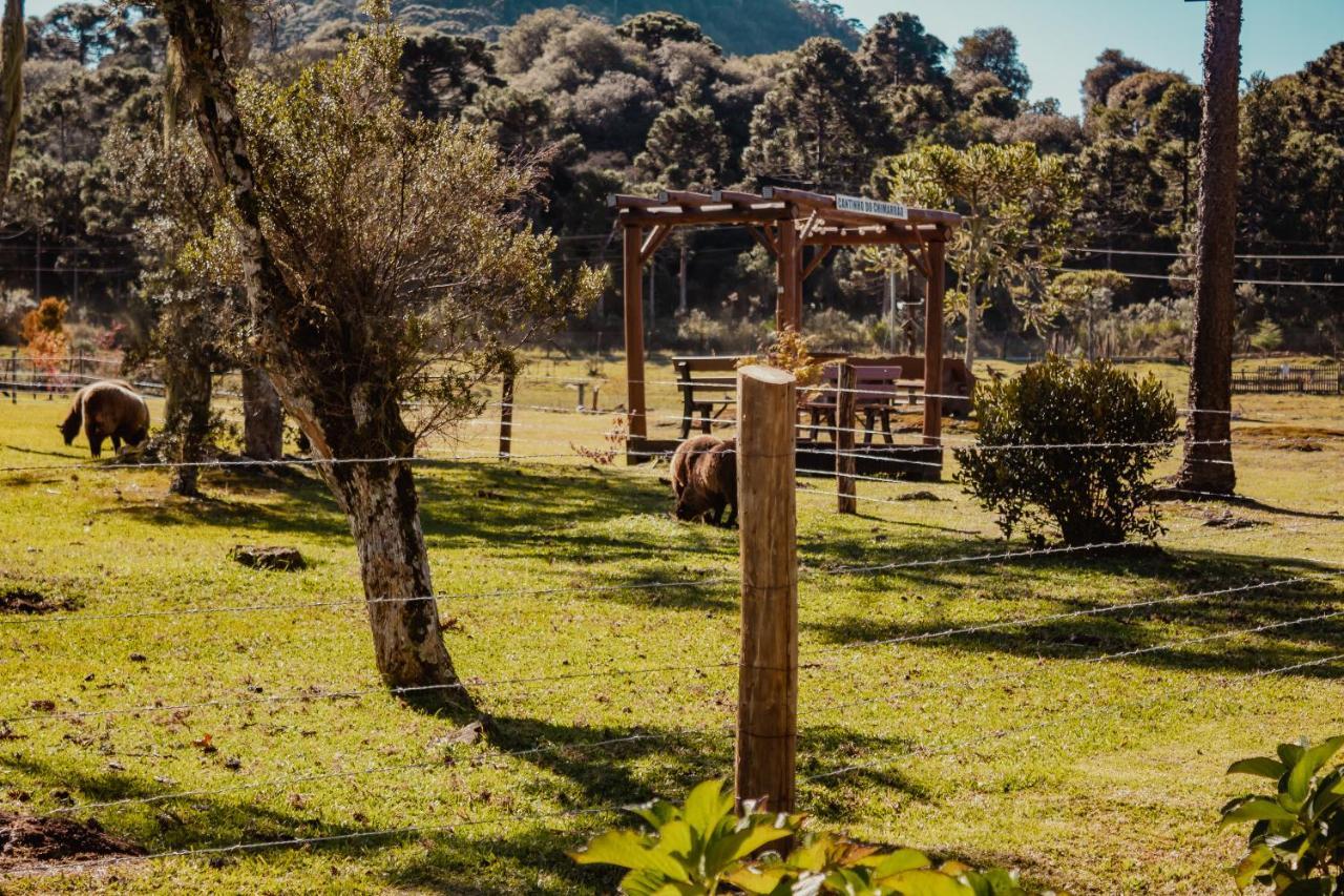 Pousada Lago Da Colina Urubici Eksteriør bilde
